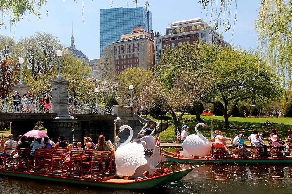 Swan Boats Experience Near Tudor Wharf